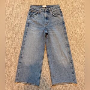 Agolde Low Curve Jean High Rise Wide Leg in Force size 23